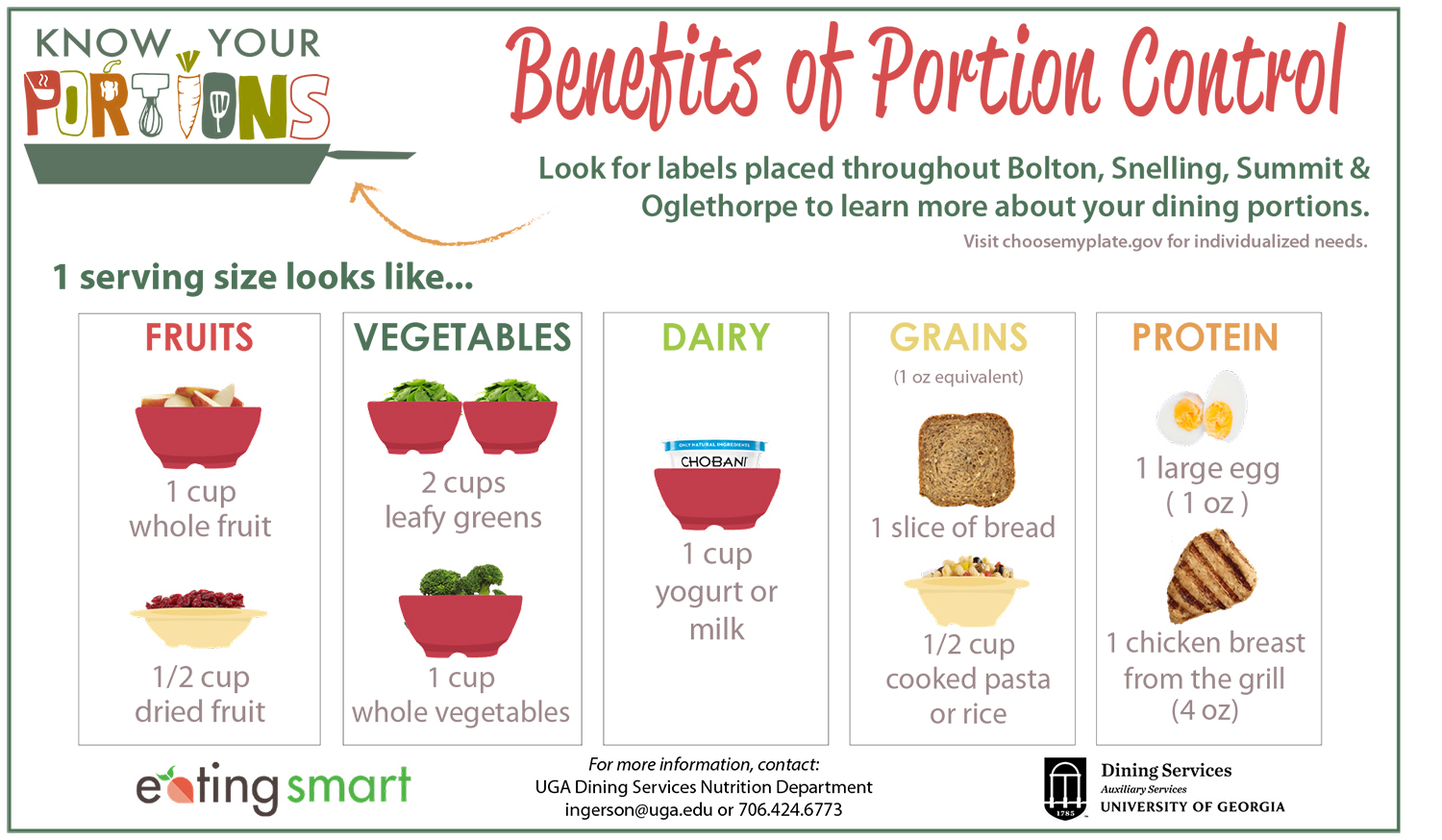 Image illustrating portions of fruit, vegetables, dairy, grains, and protein.