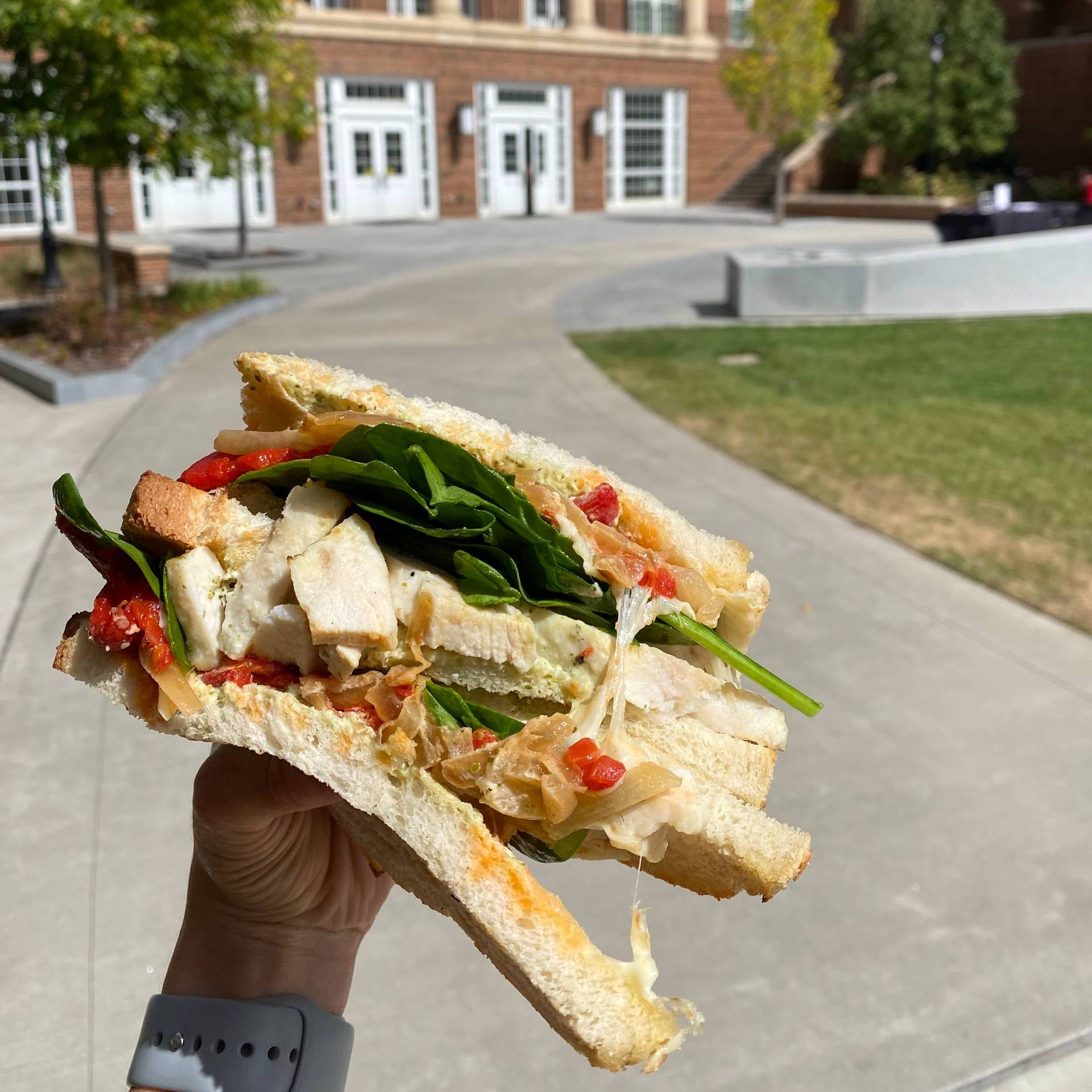 A photograph of a sandwich being held up outside of the Terry College of Business.