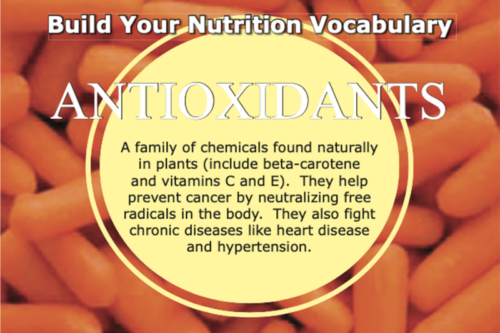 UGA dining graphic that promotes the benefits of antioxidants in a diet.