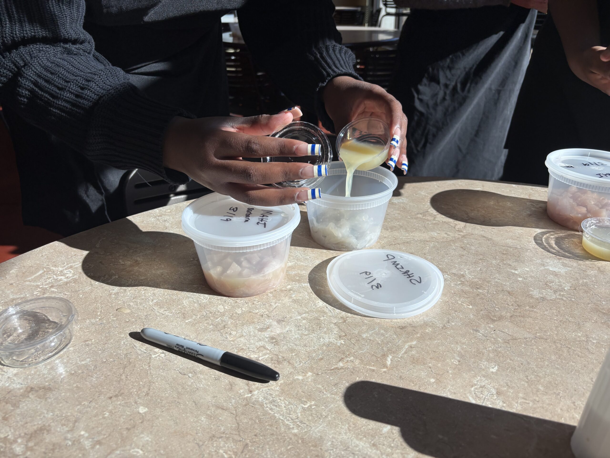 A student pouring lemon juice into their ceviche container to begin the acid-induced protein denaturation process.