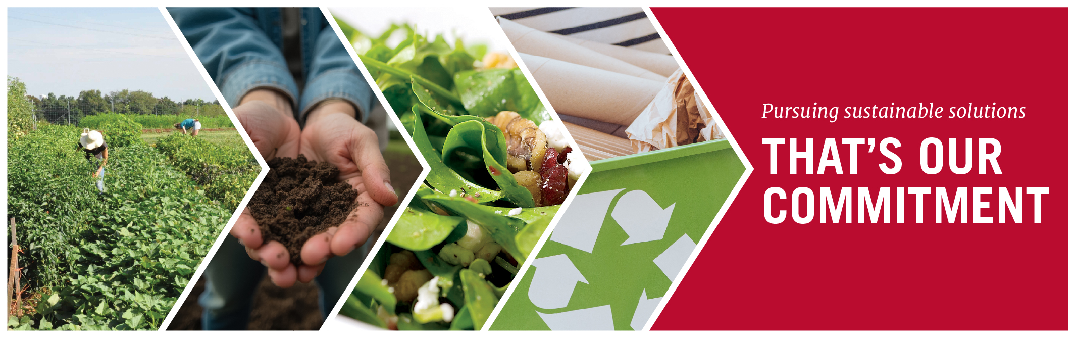 A graphic with images of a garden, two hands holding dirt, salad, and a recycle bin - and text that reads "pursuing sustainable solutions, that's our commitment"
