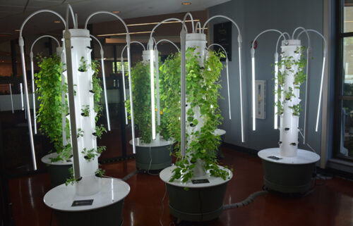 Vertical Aeroponic Gardens at Oglethorpe